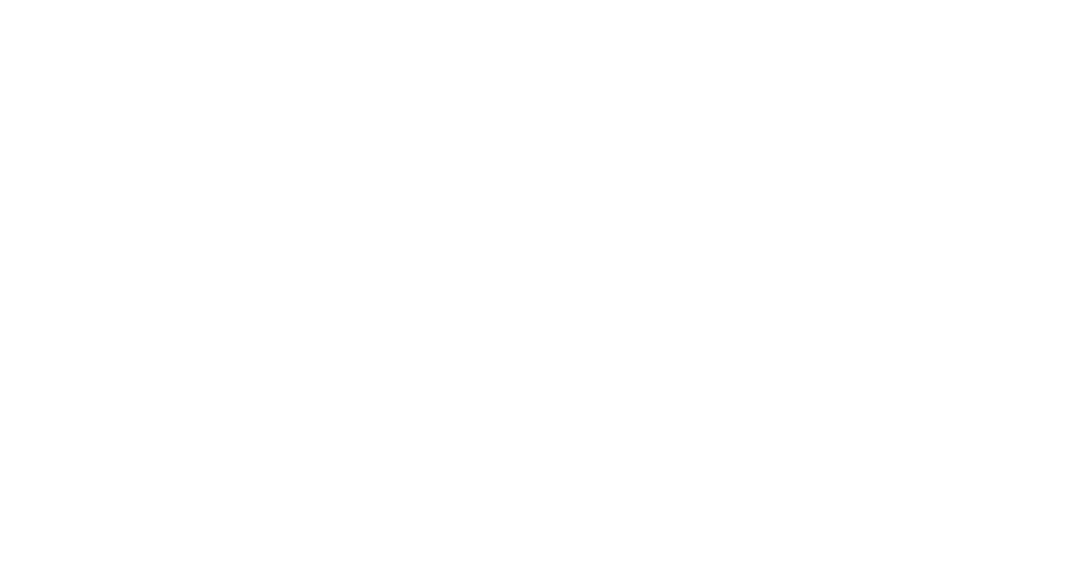 Data19 AI Solutions Logo in Weiß